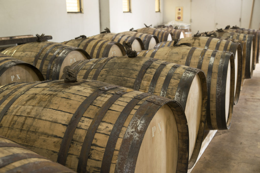 rows of sherry casks
