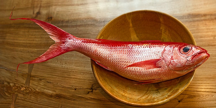 a glossy red snapper