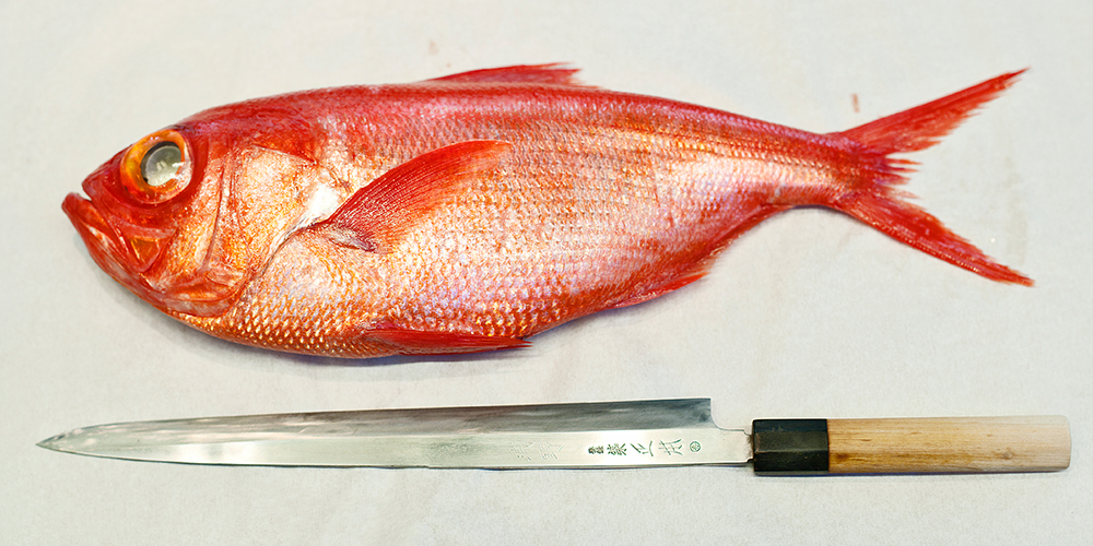 Kinmedai (Golden Eye Snapper) is a deep sea fish that's mild yet full of  umami. Available winter through spring, try it before the season…