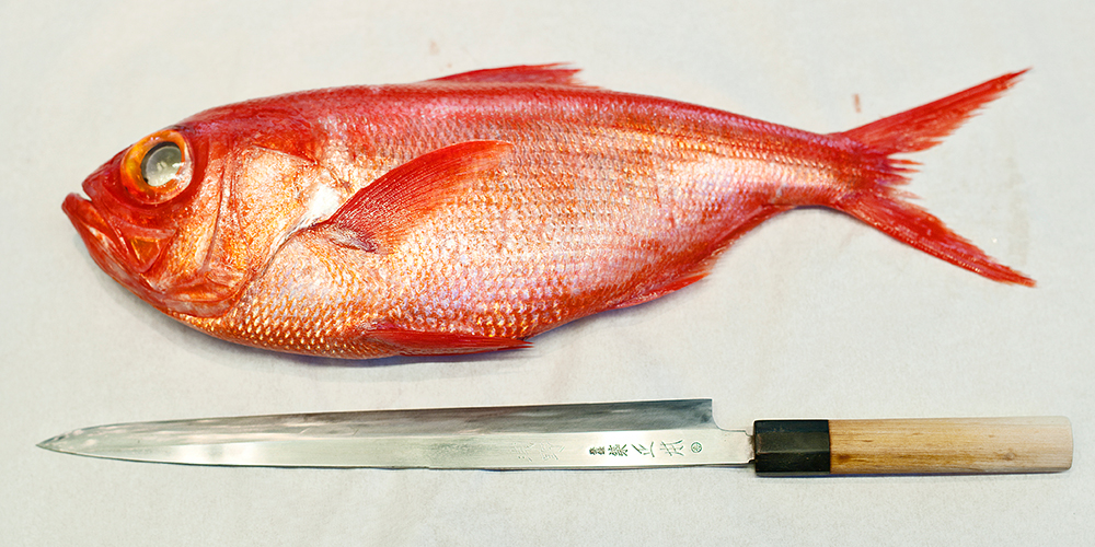 Golden eye snapper/red snapper/Kinmedai on ice, Beryx splendens, Tsukiji  Fish Market, Tokyo, Japan. - SuperStock