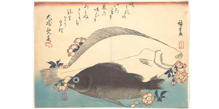 Hirame Sushi & Sashimi: Fluke Fish Info, Preparation, & Pairings (2021)