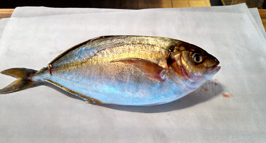 a whole shima-aji fish