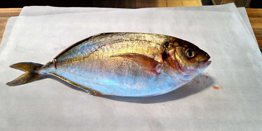a whole shima-aji fish
