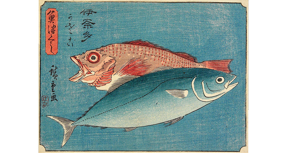 a woodblock of a yellowtail and a rockfish
