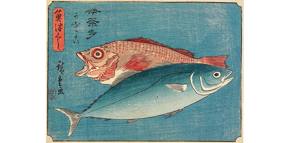 a woodblock of a yellowtail and a rockfish