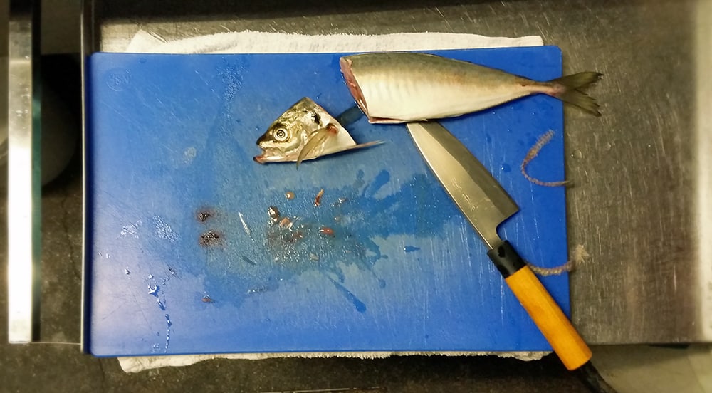 fileting a shad with a Japanese kitchen knife