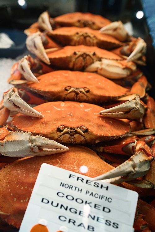 Dungeness crab stacked on ice and for sale