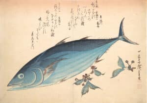 an old woodblock print of a bonito