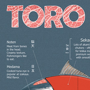 "TORO' poster font with fatty tuna pattern and color